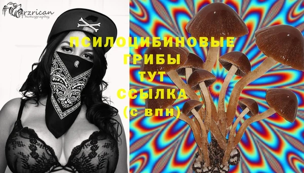 MDMA Алексин
