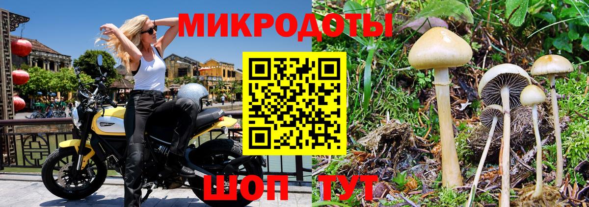 Галлюциногенные грибы GOLDEN TEACHER Тосно
